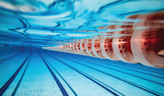 Swimming-Team-Traits-Blog.png
