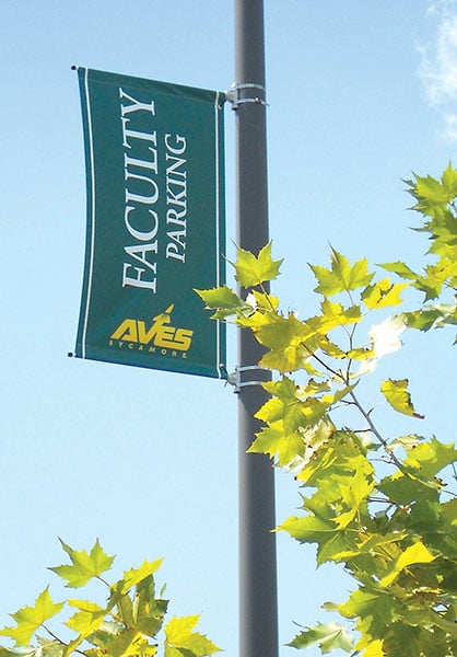 sycamore-pole-banner